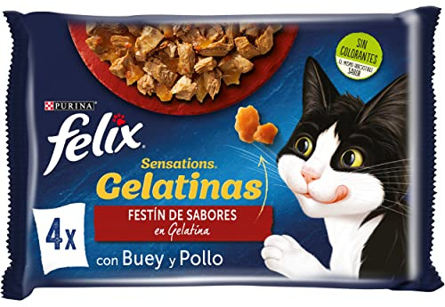 PURINA FELIX Sensations Katzenfutter, verschiedene Fleischsorten, 12 x [4 x 85 g]
