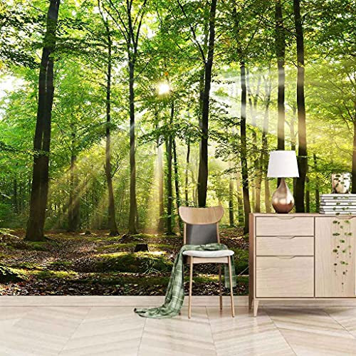 FVGKYS 3D Effekt Wandtattoo 350x256cm Wandbild Tapeten Sonniger Grüner Wald Wandgemälde Abziehbild Deko Innen Wandgemälde Selbstklebend Tapeten Wohnzimmer Schlafzimmer Büro Wanddeko