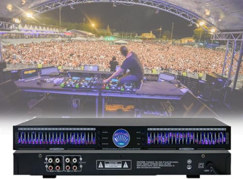 Equalizzatore audio DSP a 22 bande, equalizzatori grafici stereo, 10 effetti preimpostati, riduzione automatica del rumore, ideale per studi di registrazione, impianti hi-fi domestici e regolazione