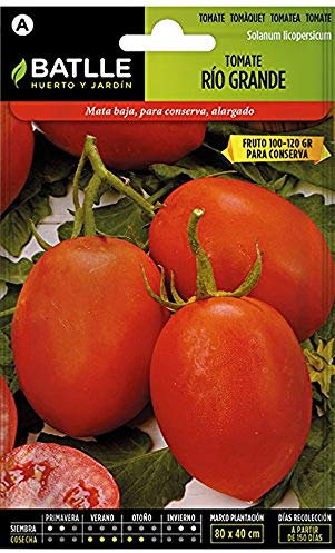 Semillas Batlle – Semi di Pomodoro