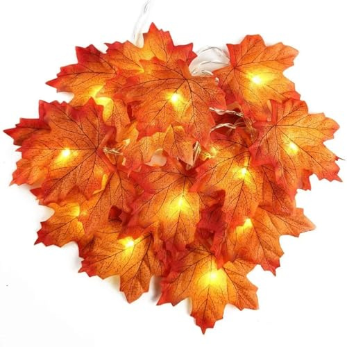 Morofme Ahornblatt Lichterkette 3M 20 LED Erntedankfest Lichter Batteriebetrieben Blätter Girlande für Indoor Outdoor Herbst Urlaub Weihnachten Ernte Thanksgiving Party