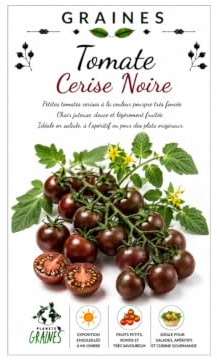 graines de tomate cerise noire 0,300 grammes soit environ 190 graines - black cherry - Planète graines - Solanum lycopersicum