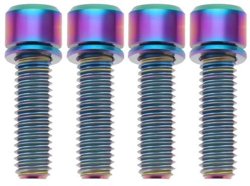 EMSea 4 STÜCKE Fahrrad Titan Schrauben M6X20mm für MTB Rennrad Und Mountainbike Disc Bremssattel 26,3x8,7mm Disc Bremse Schraube