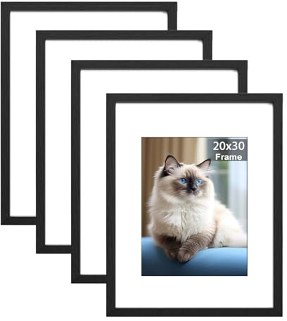 RUN HELIX 4 Pack Bilderrahmen 20x30, 20x30cm Bilderrahmen Schwarz, Kann Auf Den Schreibtisch Gehängt Oder Gestellt Werden Fotorahmen, Posterrahmen Benutzt für Wohnzimmer, Schlafzimmer, Arbeitszimmer