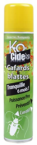 KOCIDE - Laque anti-cafards et blattes - aérosol - 300 ml | Action ciblée contre les cafards et blattes - protection jusqu'à 6 mois