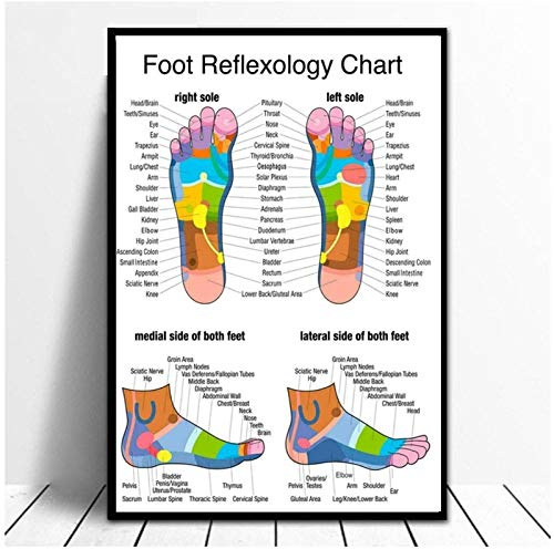Reflexzonen-Fußdiagramm, medizinische Kunst, Poster, Leinwand, Malerei, Bildung, Wandkunst, modularer Bilddruck, modernes Büro, Heimdekoration, 50 x 70 cm, ungerahmt