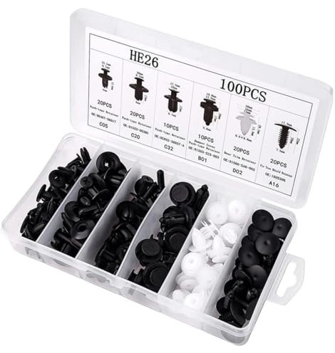 Set di 100 clip di fissaggio per auto, 6 tipi di rivetti universali con scatola di immagazzinaggio, clip di fissaggio per auto, set di clip universali per paraurti in plastica