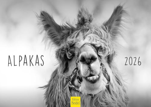 Edition Seidel Calendario premium de alpacas 2026, formato DIN A4, calendario de pared, calendario animal, América del Sur, Perú, Andes, lama, alpaca, pako, camellos, animales de carga, negro y blanco
