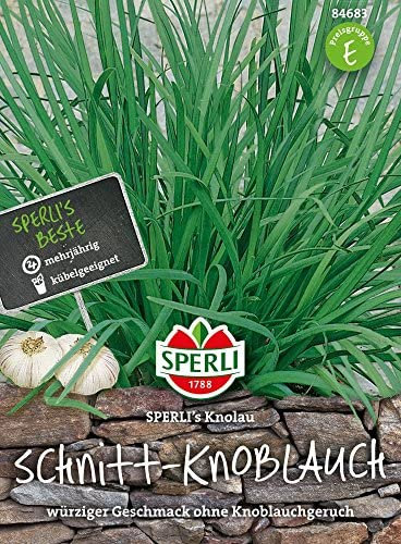 Sperli Schnittknoblauchsamen SPERLI's Knolau 84683 - Mehrjährig, Dekorativ, Schnittlauchpflanze, Schnittknoblauch Samen, Ideal für Garten und Küche, für 1-2 lfd. Meter