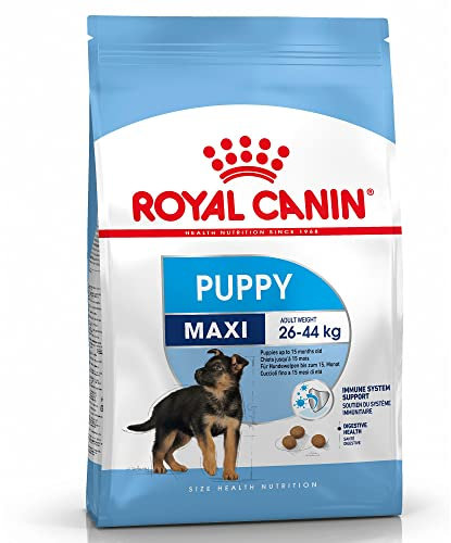 Royal Canin Maxi Junior, 1er Pack (1 x 10 kg Beutel) - Hundefutter