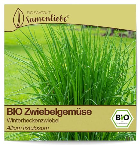 Samenliebe BIO Lauchzwiebel Samen Gemüsesamen alte Sorte Winterheckenzwiebel 500 Samen Gemüse Samen Garten Lauchzwiebel Saatgut samenfeste mehrjährig Pflanzen für Gewächshaus, Garten und Balkon