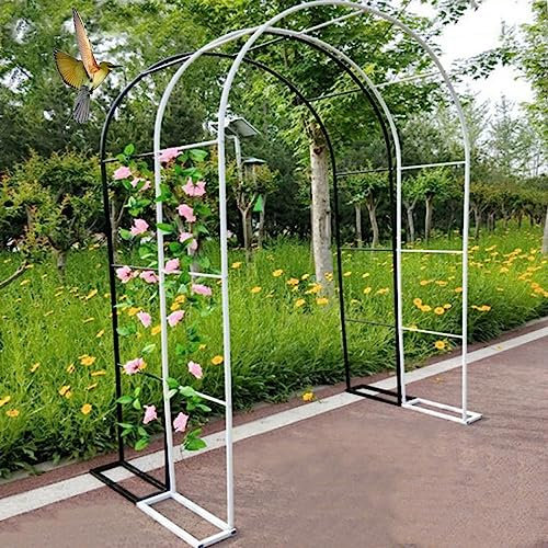 Arco De Jardín De Metal Marco De Cenador Jardín Arcos De Soporte Arco Para Rosas Decoracion Enredaderas Enrejado Boda Arcada Para Todo Tipo De Plantas Trepadoras Decoración Nupcial,Blanco/Negro ( Colo