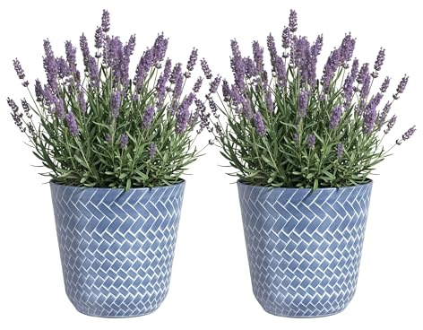 SG Traders Nantucket Plant Pot - Flower Planters Outdoor, Large Garden Plant Pots Elegant Design, Versatile Pots and Planters for Your Outdoor, Enhance Your Garden with Planters (Pack of 2)
