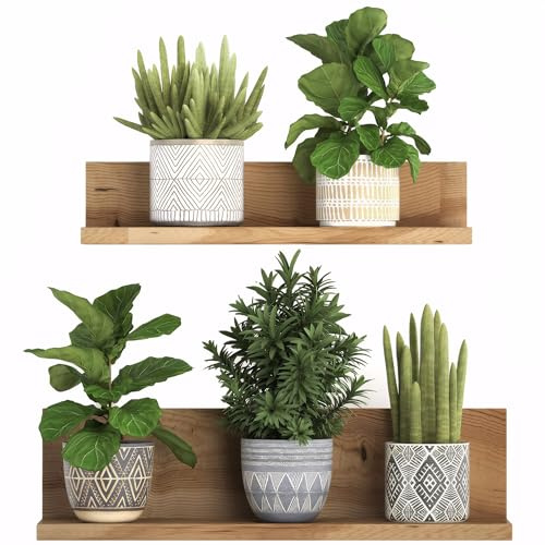 EUIOOVM 3D Grüne Pflanze Wandtattoo Topfpflanze Wandaufkleber Pflanze Blumen Wandbilder Kaktus Wandsticker PVC Wandtattoo Küche Bonsai Vase Wandaufkleber für Schlafzimmer Wohnzimmer Büro Flur Wanddeko