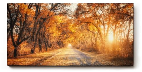 Sinus Art Wandbild 100x50cm Faszinierende Herbstallee mit goldenen Blättern und Lichtspiel in der Natur