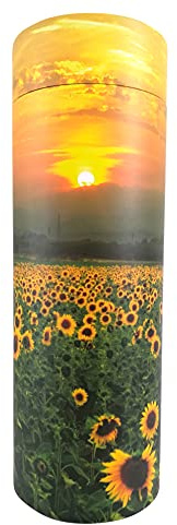 Tubo de dispersión de girasol para cenizas adultas – Urna de cremación de cartón biodegradable grande