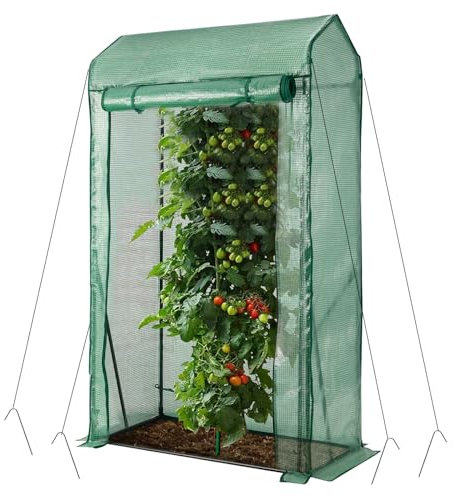 HOMASIS Serre en film plastique avec porte roulante, 100 x 50 x 170 cm, petite serre de jardin pour plantes, en film treillis PE et métal, abri de jardin pour jardin, balcon, terrasse (vert)