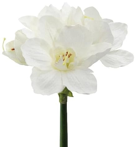 artplants.de Deko Blume Amaryllis WELBA, weiß, 65cm - Künstliche Amaryllis