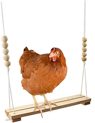 StaZamor Juguete de Columpio de Pollo para gallinero, Accesorios de Madera Naturales Seguros, Hechos a Mano en Estados Unidos..Escalera de Percha para Aves de Corral, Gallo, gallinas, Pollitos, ma