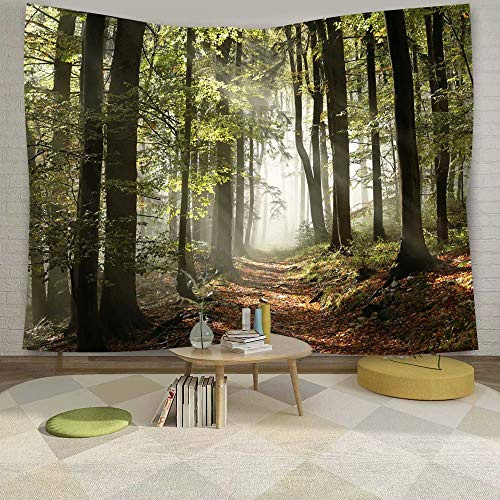 DZGlobal Forest Pathway in the Misty Mountain Tapestry Wall Hanging Art Nature Landscape Tapestries 80W X 60L Inch Home Decor for Living Room Bedroom Kitchen Dorm Green