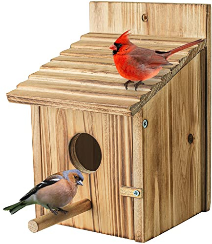 Fågelhus i trä, fågelhus i trä för utomhus med stolpe för finch, blåfågel, kardinaler, hängande fågelholk, trädgård, stugor