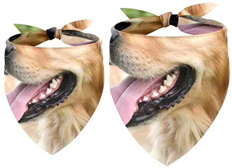 Passendes Set mit Hundehalstüchern, Hundelätzchen, Schal, Dreieckstuch für Hunde, Katzen, Haustierbesitzer, Mutter und Vater, 2er-Pack,Schönes Golden Retriever Tier