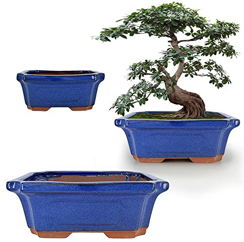 Muzhi 3er-Pack Keramik Rechteckiger Bonsai-Baum-Pflanztopf-Set 15,2 cm + 17,8 cm + 22,9 cm, Kaktus-Sukkulenten-Pflanzgefäß, blau glasiert mit Netzloch-Sieb