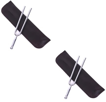 Supvox Stimmgabel Musikinstrument Nach Internationalem Standard Silberfarben Mit Tontuner Und Aufbewahrungstasche Für Saiteninstrumente 2 Stück