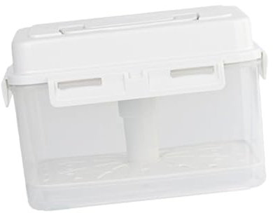Kimchi Press Ferment Storage Container Sauerkraut Fermentation Fruit Container Pickle Jar Food Storage Box for Picnic Kitchen, 5L 23.5x16.5x19.5cm