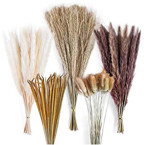Qusedwey 120 Piezas de DecoracióN de Ramo de Hierba de Pampa, Arreglos de Fiesta de Boda de HabitacióN de Hogar Bohemio, Paquetes de Flores Secas de OtoñO Alto una Granel