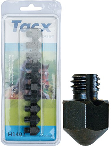 Harry's Horse 37701401-antal Tacx stolar med spets, 10 stycken