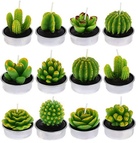 FANTESI 12 Pcs Cactus Candles, Handmade Cactus Succulent Cactus Tealight for Spa Home Party Wedding Decoration Gifts