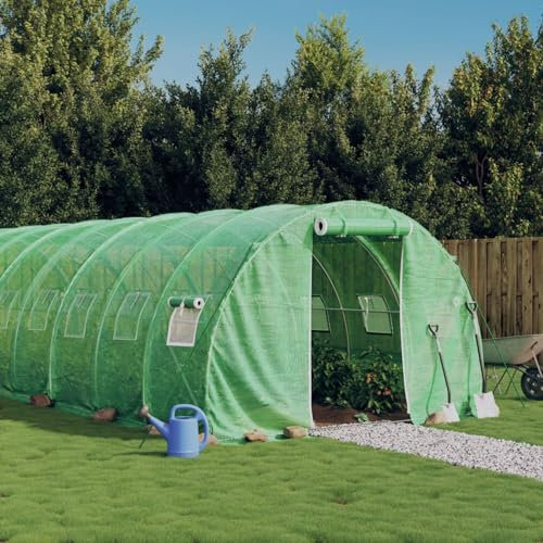 LAPOOH Serre avec Cadre en Acier Vert 66 m² 22x3x2 m,Carport Abri Voiture,Serre Tunnel