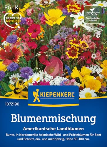 Kiepenkerl Blumensamen-Mischung Amerikanische Landblumen 1072190, Saatgut | Wild- und Prärieblumen für Beet und Schnitt, Blumenwiese, einjährig