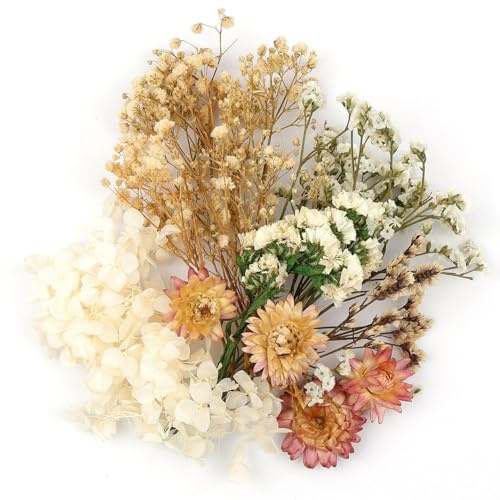 Klein Trockenblumen Zum Basteln,Natürliche Getrocknete Blumen Deko Weiß | für DIY Handwerk Epoxidharz Scrapbook Fotorahmen Karten Machen
