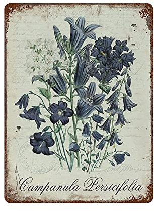 IUBBKI Flower Art Painting Sign Campanula Persicifolia Tin Sign Metal Sign Art Hanging Iron Painting Retro Home Kitchen Garden Garage Wall Decor