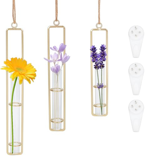 OLYCRAFT 3 Packung Goldene Wandanzuchtstation Klare Reagenzglasvasen Aus Glas Wandanzuchtstation Glaspflanzgefäß Rundes Hängendes Hydrokulturpflanzgefäß Aus Glas Für Die Heimdekoration