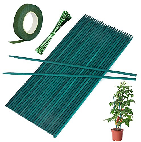 30 Pcs Green Plant Support Sticks Garden Stakes Bamboo Sticks with 30 Yard Florist Tape,Green Garden Sticks for Garden or Home Vegetables Flowers Fruit Support. (12in/30cm)