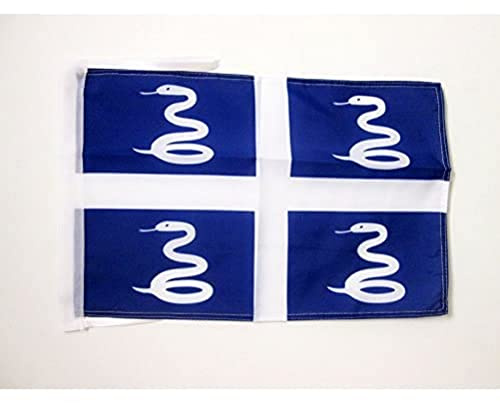 AZ FLAG Drapeau Martinique 45x30 cm Polyester 100D Cordelettes | Usage intérieur et extérieur Drapeau décoratif martiniquais coutures doubles et bords renforcés