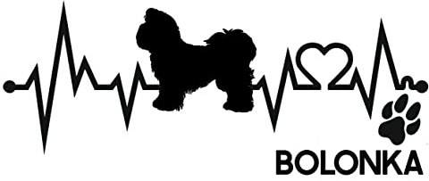 Generisch Autoaufkleber Aufkleber Herzschlag Liebe EKG Deko Sticker selbstklebend schwarz Breite 28cm Motiv: Hund Bolonka Zwetna 01