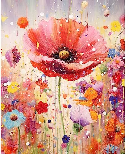 Tucocoo Mohnblumen-Malen-nach-Zahlen-Set mit Pinseln und Acryl-Pigment auf Leinwand, Malerei für Erwachsene, schöne Blüten-Kunsthandwerksprojekt für Zuhause, Wanddekoration, Geschenke (DIY gerahmt)