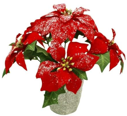 HAAC künstliche Weihnachtsstern im Topf mit 5 Blumen und Glittern Farbe rot Größe 22 cm für Weihnacht Weihnachten
