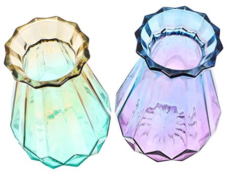 ORFOFE 2stücke Farbige Glasvasen Für Trockenblumen Modernes Design Für Tischdekoration Und Zuhause
