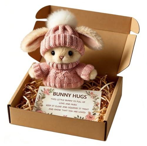 Mini Bunny Hug Cute Easter Gift, Oster Plüschhase mit Strickmütze & Bommel, Hase In Einer Box Umarmt Positives Easter Bunny Toys Hug In A Box, Positive Plüschtiere Osterhasen für Frauen Männer