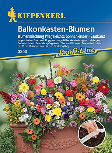 Mischungen einjähriger Sommerblumen: Balkonkasten-Blumenmischung Pflegeleichte Sonnenkinder, Saatband - 1 Portion