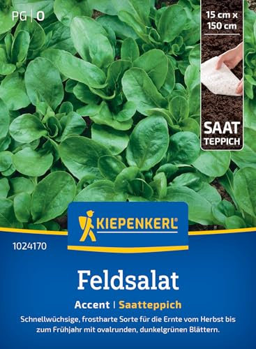 Kiepenkerl Feldsalatsamen Accent 1024170 - Frostharte Salatsamen für Herbst bis Frühjahr, nussiger Geschmack, ideal für Frühbeet und Gewächshaus, eine Pflanze 15 x 150 cm