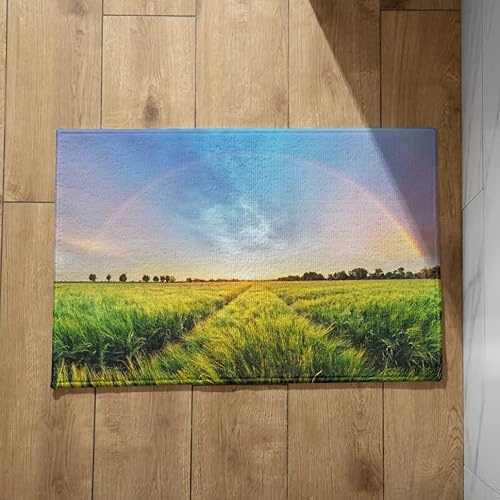 CEVAN Fußmatten Innen Lustig Sauberlaufmatte Auf Maß Wiese Fußmatte Außen Lustig Fussmatten Weiche Flanell-Oberfläche, Anpassbares Design, rutschfeste Fußmatten 50x80cm