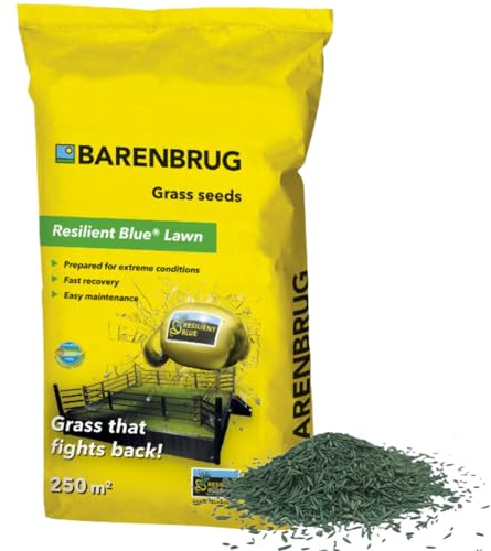 Barenbrug graszaad 5kg tot 250m² - Resilient Blue Lawn - gras dat terugvecht - Wapent je gazon tegen extreme weersomstandigheden - Snel herstel - Hoge ziektetolerantie