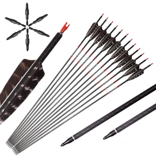 PHILOCS 12 Stück Jagdpfeile Spine 250 300 350 400 500 600 3K Carbon-Gewebepfeil ID 6,2 mm 4'' Original Truthahnfedern, für Bogen und Pfeil Schießen