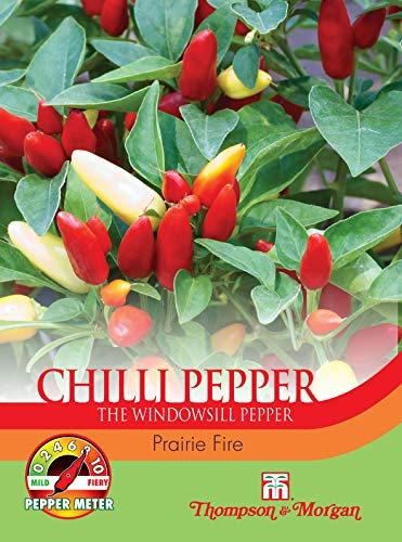 Thompson & Morgan - Vegetables - Pepper Chilli Prairie Fire - 10 Seed